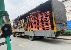 Doanh Nghiệp & Ứng Dụng Pallet - Giải Ph&aacute;p Tối Ưu Trong Chuỗi Cung Ứng